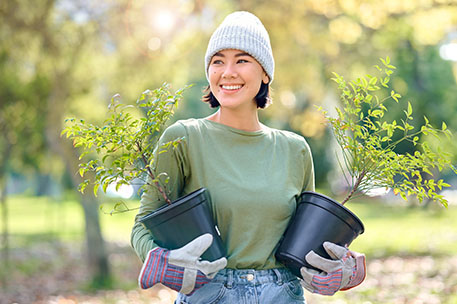 Woman Holding Young Agarwood Trees at the Farm