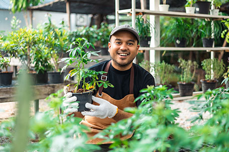 Man Working in a Agarwood Tree Store