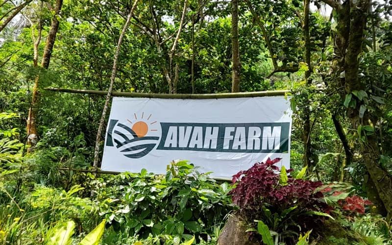 AVAH Farm Banner at the Agarwood Farm